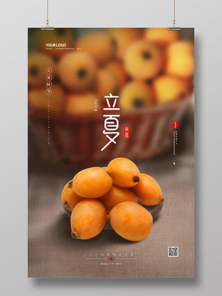 简约大气枇杷果中国传统二十四节气立夏海报